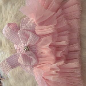Dogs Cutie Dresses...